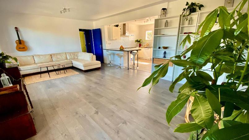 فندق Sewa Surf House 10Min De Capbreton Hossegor Bénesse-Maremne المظهر الخارجي الصورة