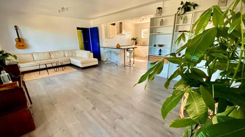 فندق Sewa Surf House 10Min De Capbreton Hossegor Bénesse-Maremne المظهر الخارجي الصورة