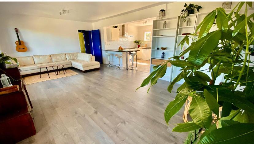 فندق Sewa Surf House 10Min De Capbreton Hossegor Bénesse-Maremne المظهر الخارجي الصورة